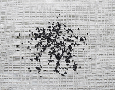 手機(jī)防水密封圈